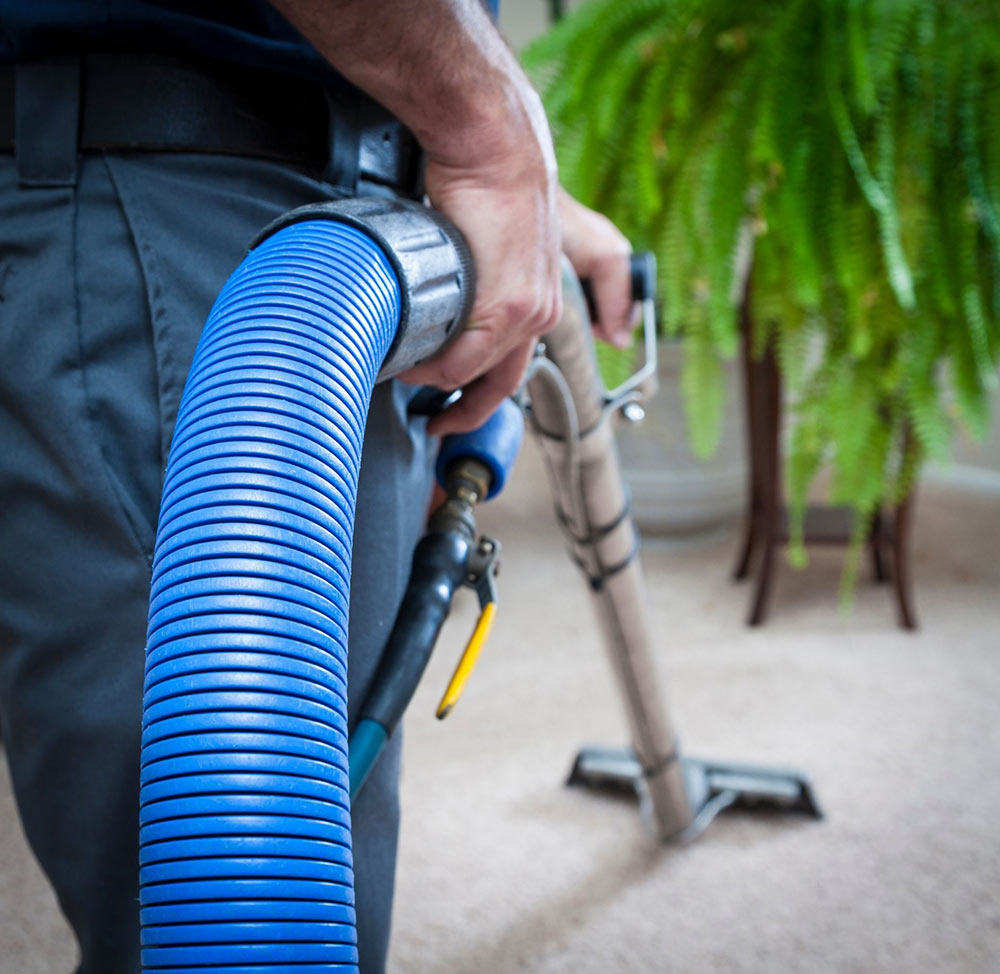 Carpet Cleaning in Austin Tx