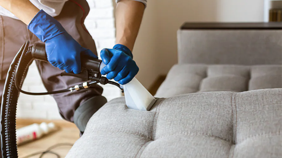 Man professionally cleaning couch