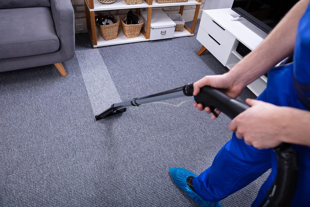 Carpet Cleaning Gray Carpet