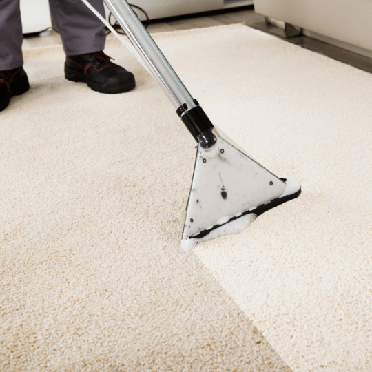 answer to How Often Should You Clean Your Carpets?