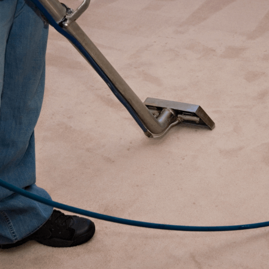 professional carpet cleaner