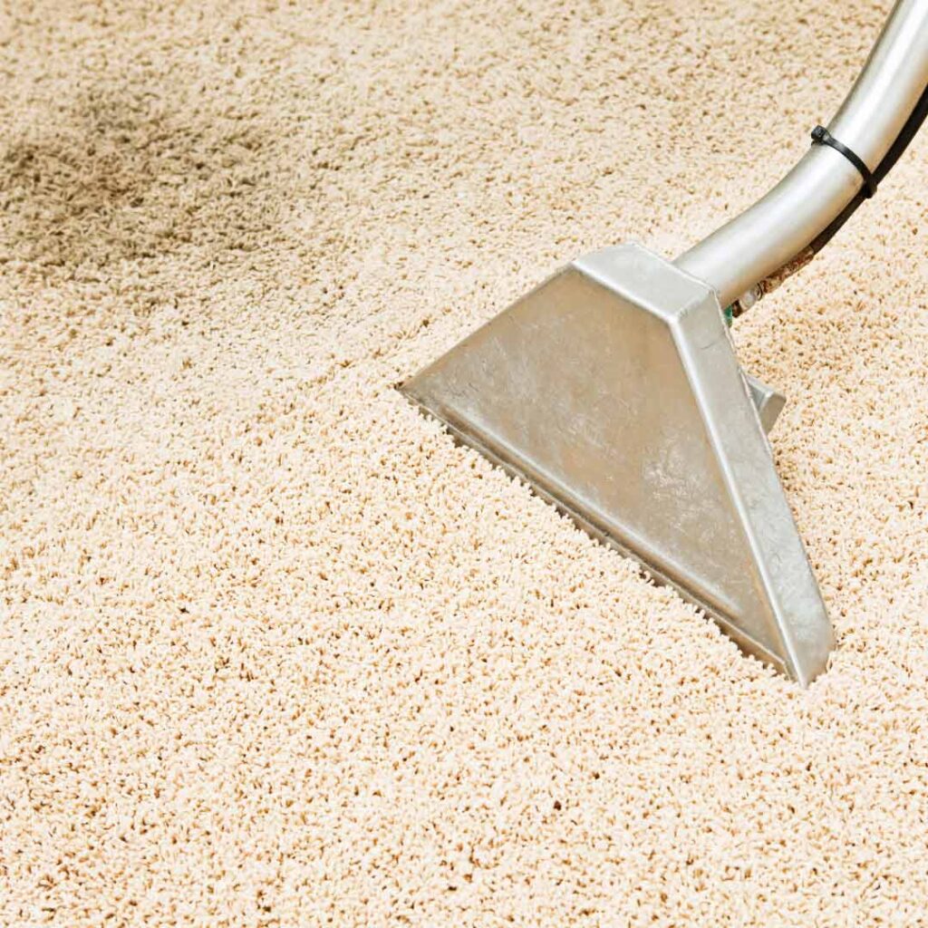 Carpet wand cleaning pet odor from carpet