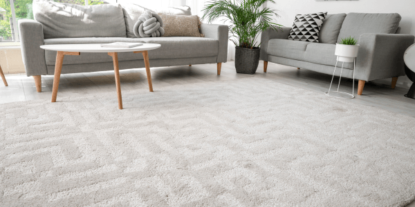 Carpet of living room with carpet care instructions