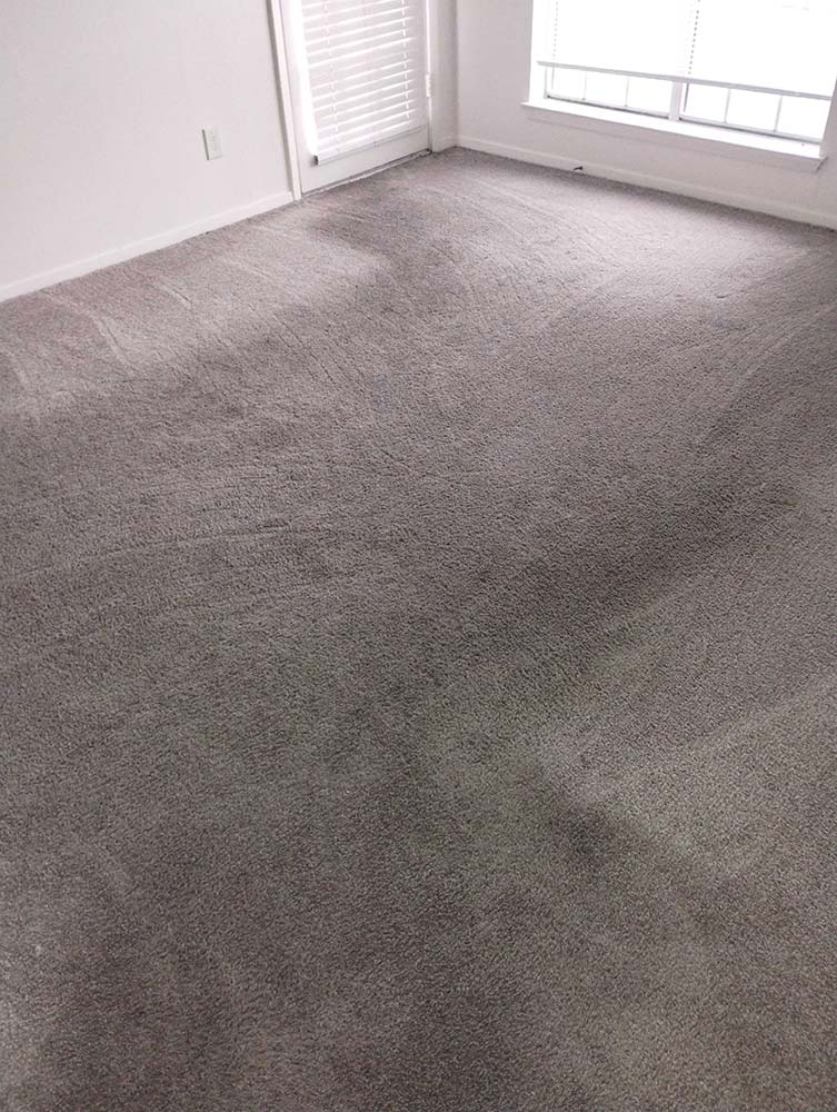 Professional Carpet Cleaning Service