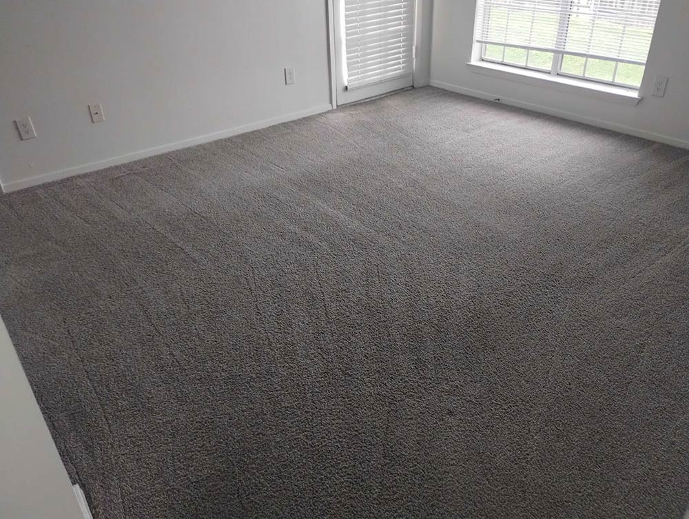 Freshly cleaned carpet by Yesss HE Will