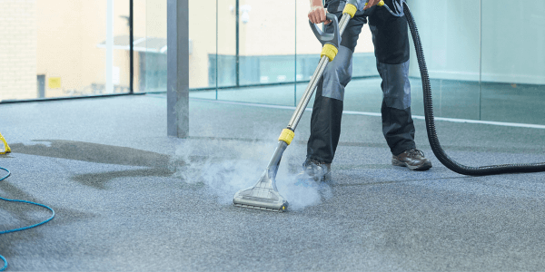 professional carpet cleaning the office carpet