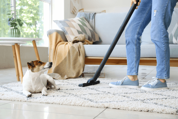 how to get old stains out of carpet at home